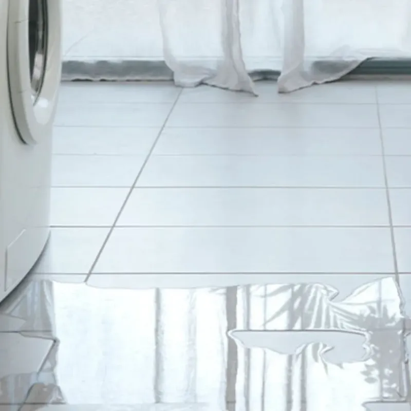 Appliance Leak Cleanup in Madbury, NH