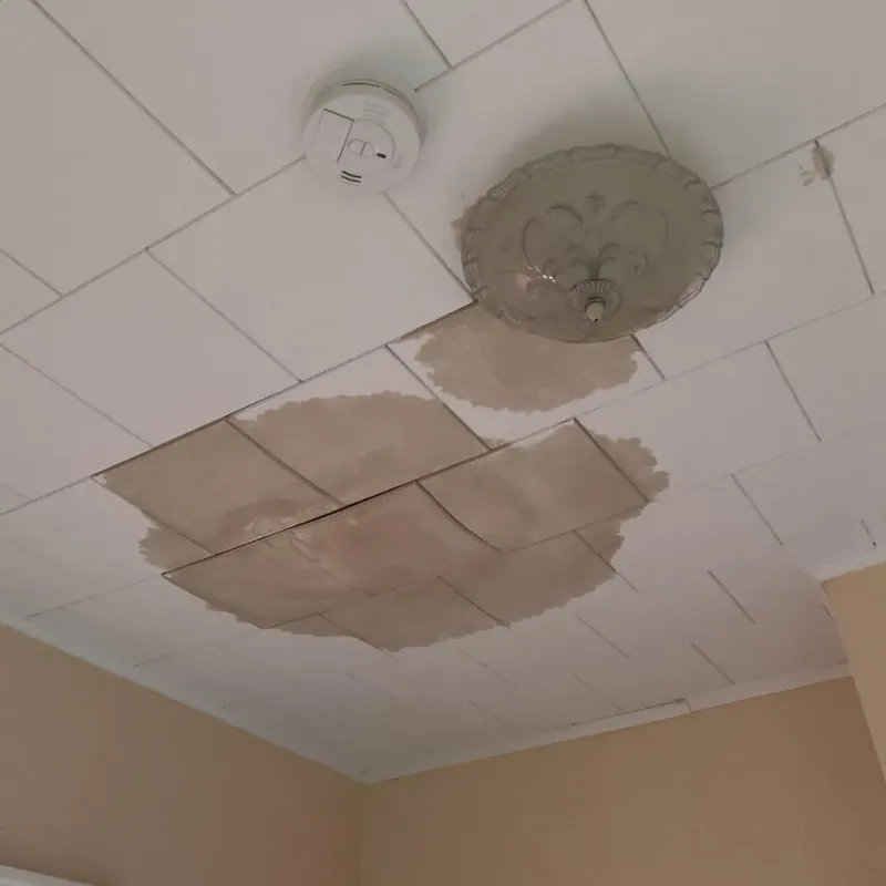 Ceiling Water Damage Repair in Madbury, NH