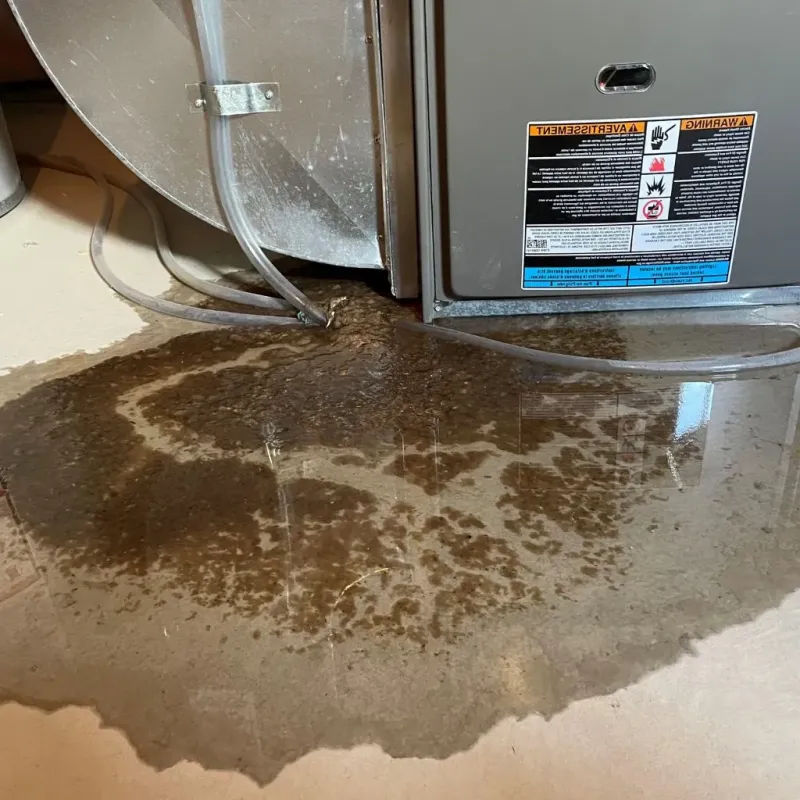 Pipe Burst and Leak Restoration in Madbury, NH